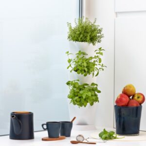 Minigarden corner