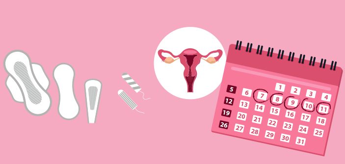 Alt du skal vide om menstruation