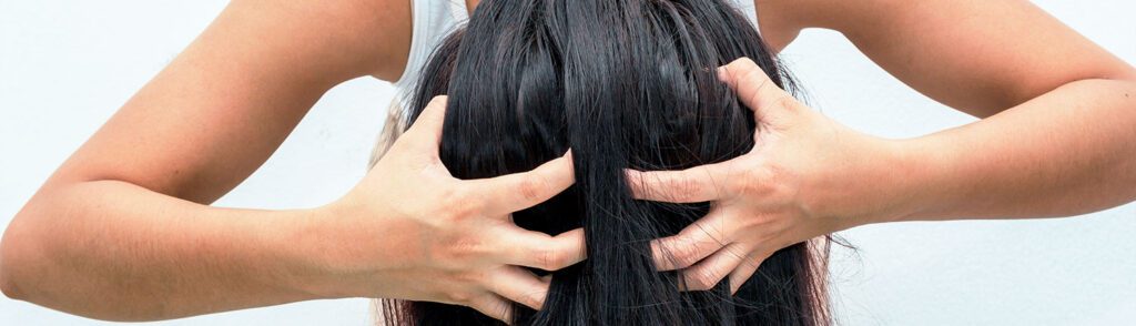 toershampoo er blevet populært