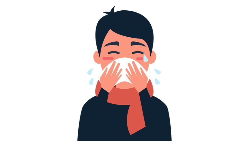 hvad er godt mod influenza hvad er godt mod influenza